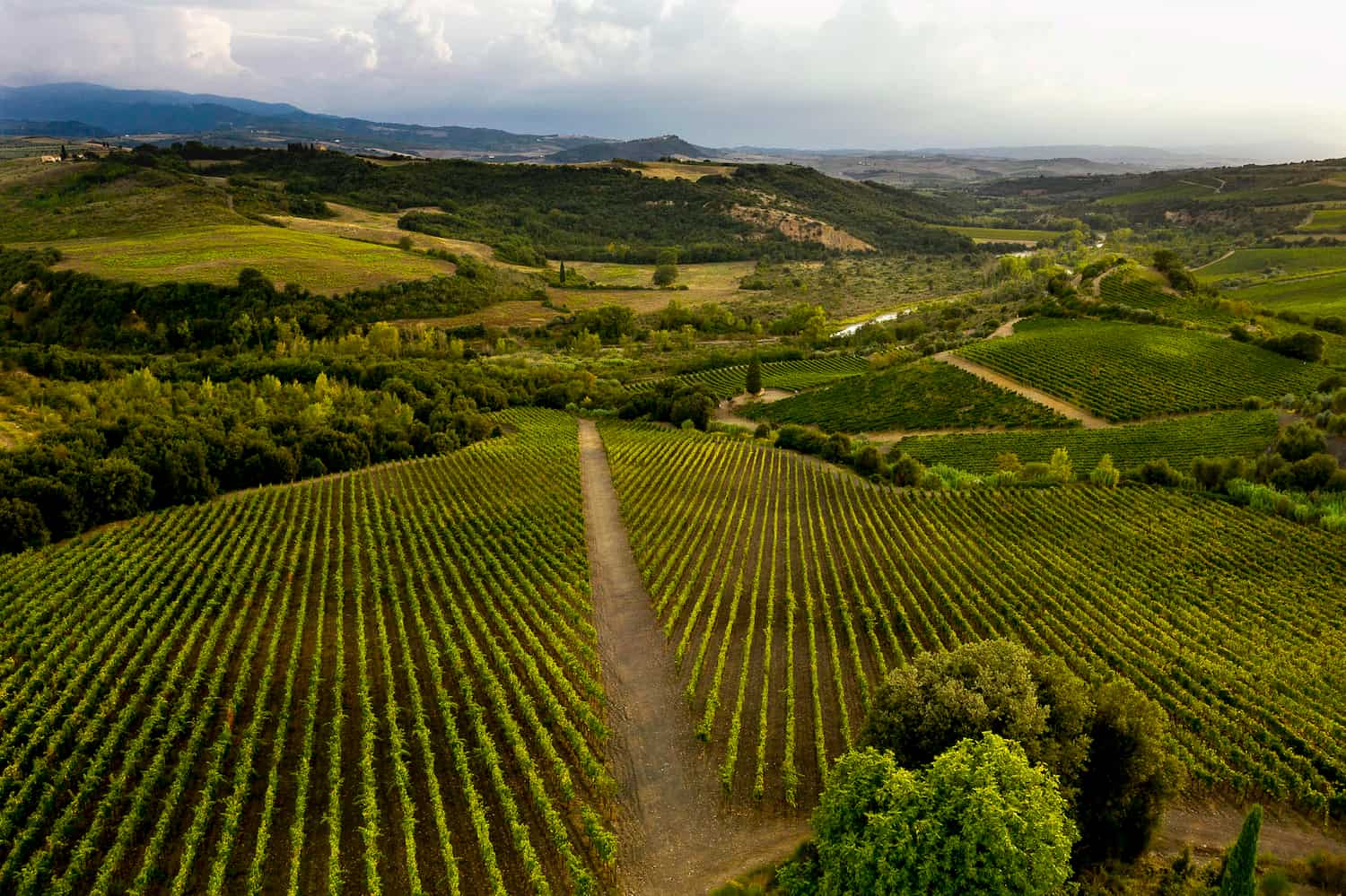 Tenuta Buon Tempo